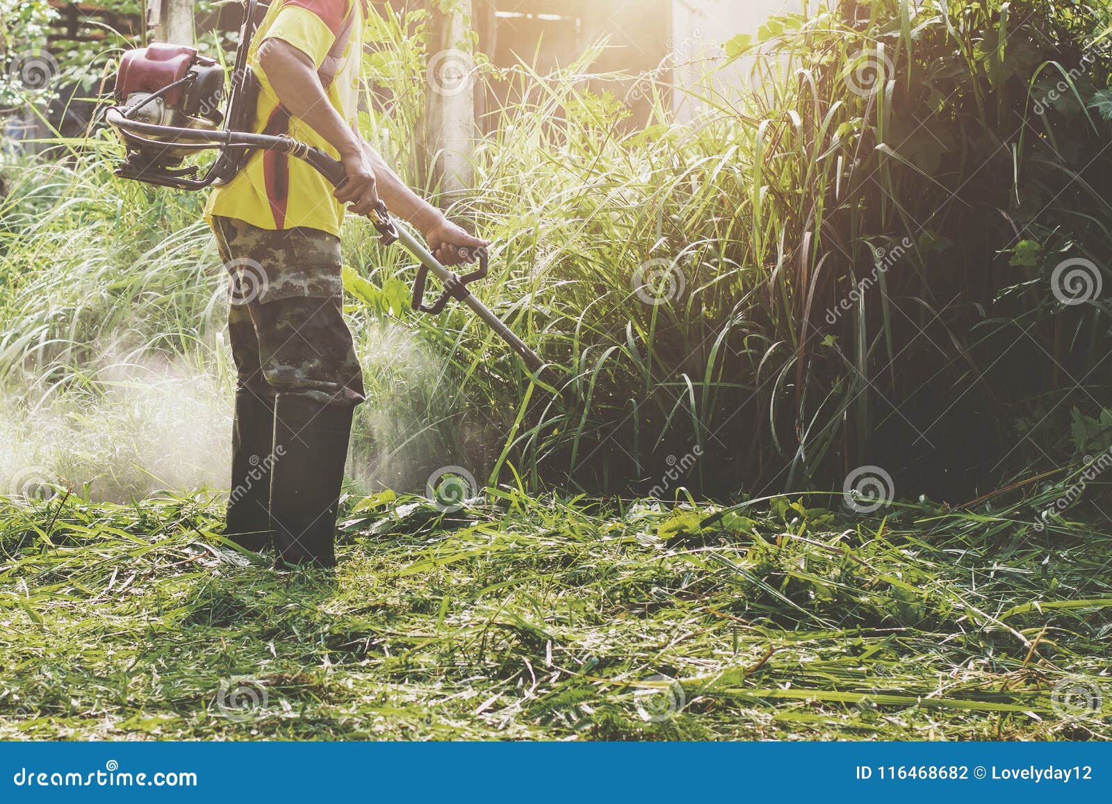 Farmer cuting grass stock photo. Image of landscaping 116468682