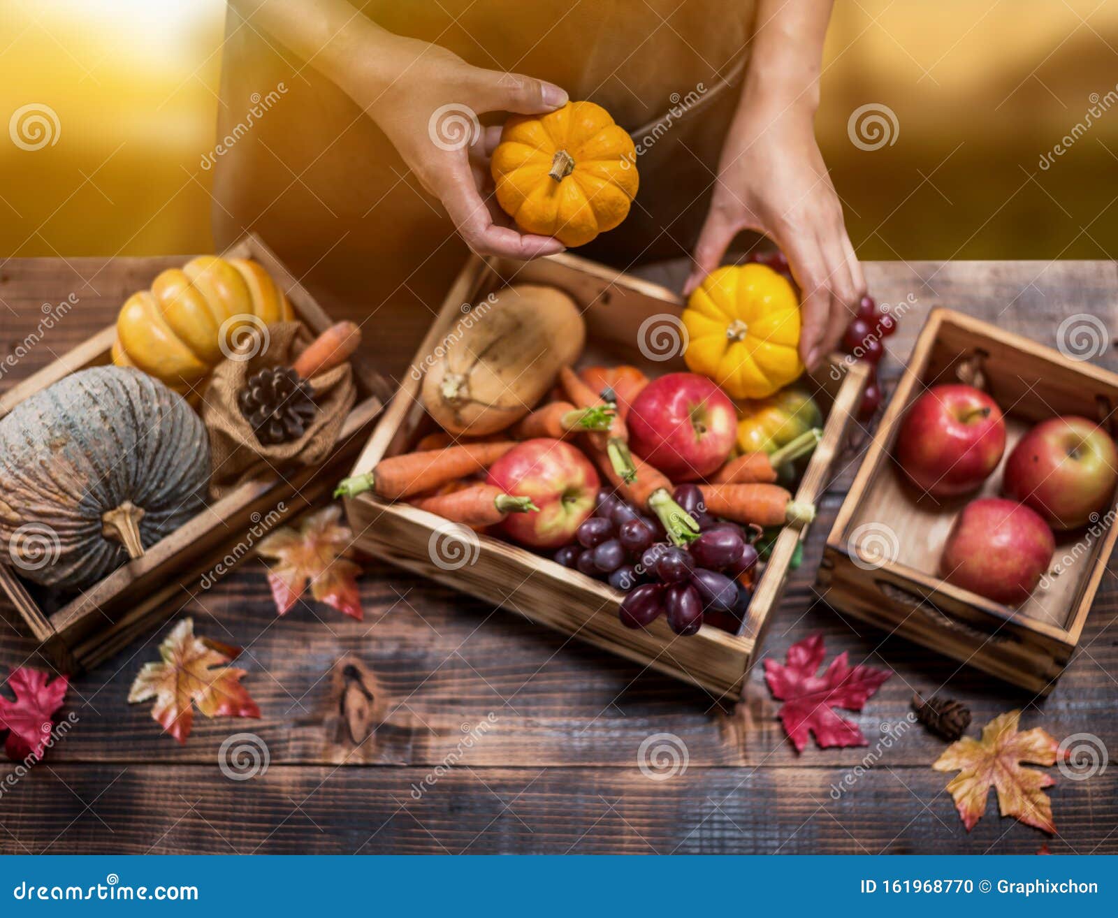 Farmer with Fresh Fruit on Hands. Fall Harvest Cornucopia Stock Photo ...