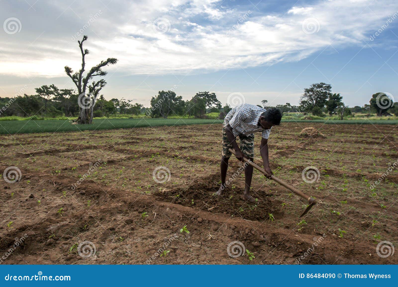 farmer in sri lanka sad moods farmer in sri lanka sad moods