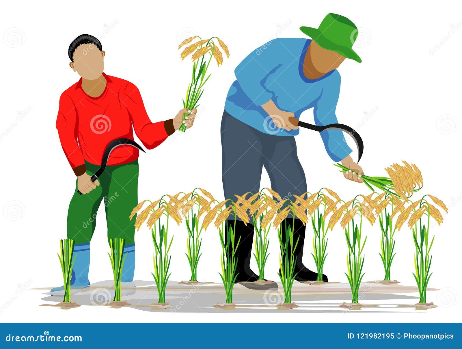 Farmer Harvest Rice Cartoon Shape Stock Vector - Illustration of  agriculture, grass: 121982195