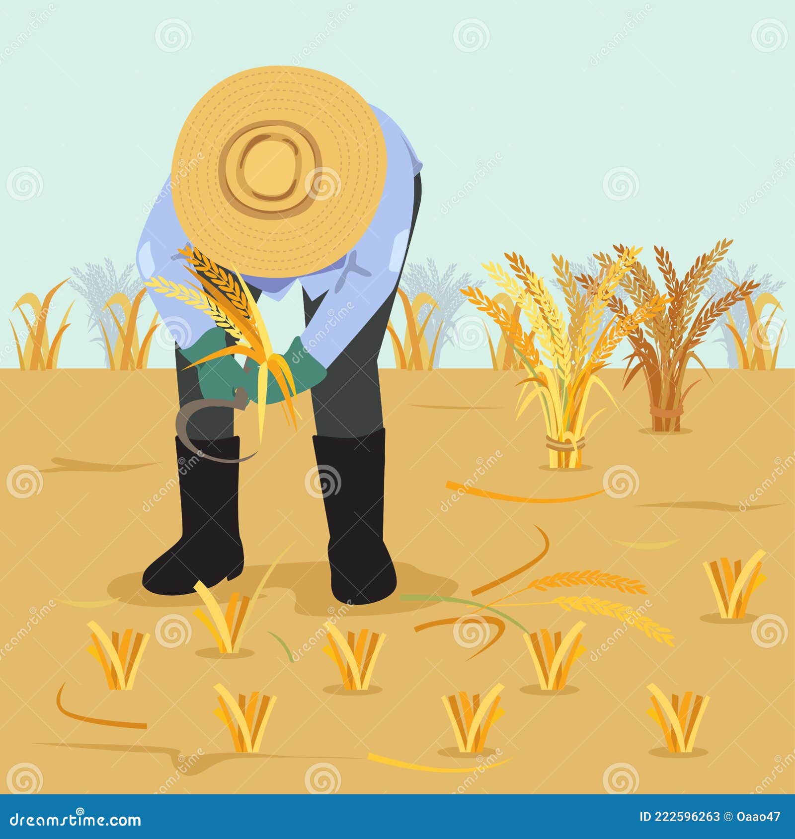 Farmer rice harvesting stock vector. Illustration of plant 222596263