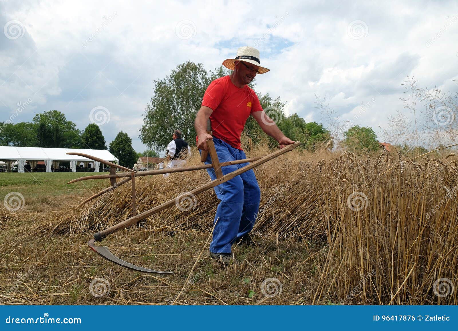Farmer Harvesting Wheat with Scythe Editorial Photo - Image of grain ...
