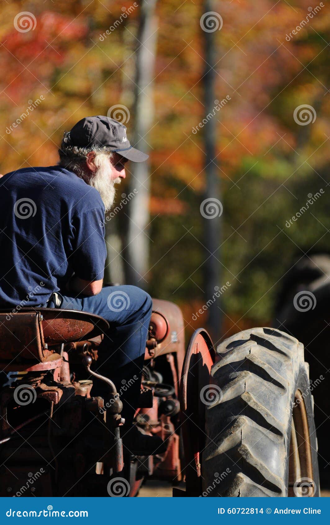 A Farmer on His Tractor at a Fall Fair in Sandwich, New Hampshire