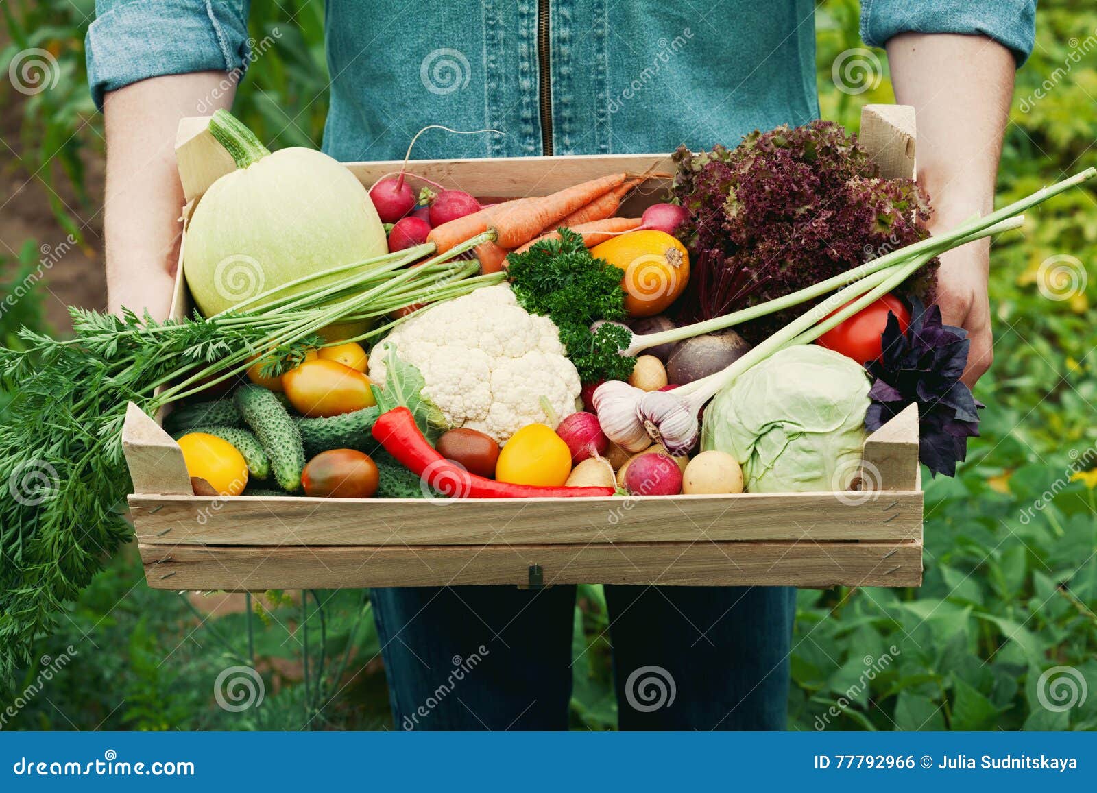 farmer holding a basket full of harvest organic vegetables and root in the garden. autumn holiday thanksgiving.