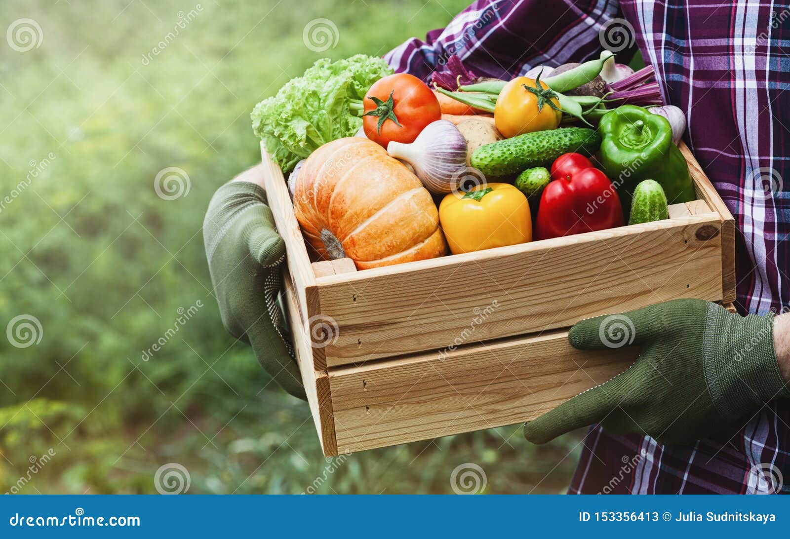 farmer holds in his hands a wooden box with a vegetables produce on the background of the garden. fresh and organic food