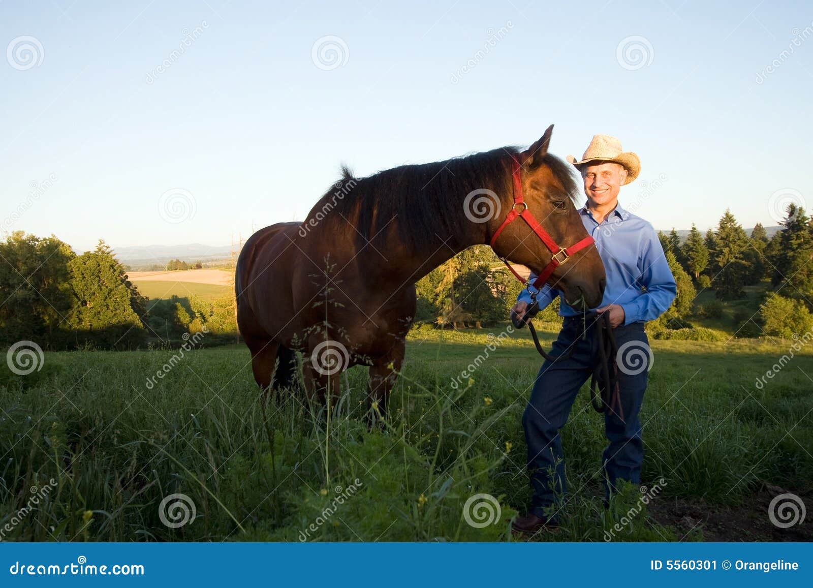 Farmer and Horse Horizontal Stock Image Image of meadow, escape 5560301