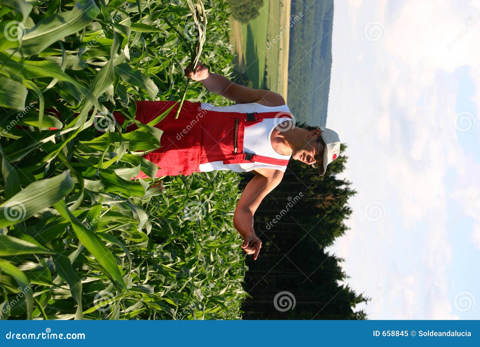 farmer in maisfield