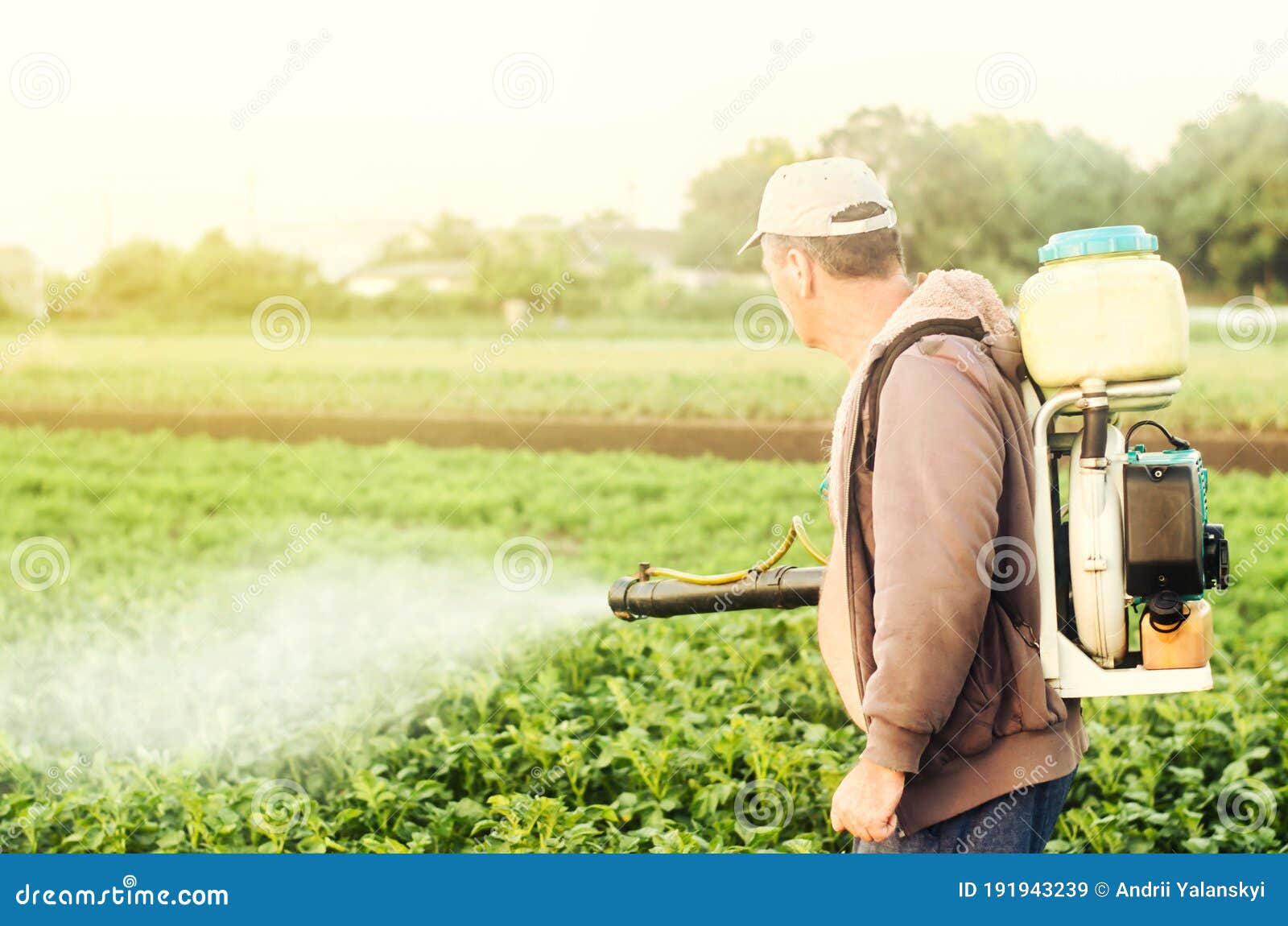 a farmer with a mist sprayer spray treats the potato plantation from pests and fungus infection. agriculture and agribusiness.