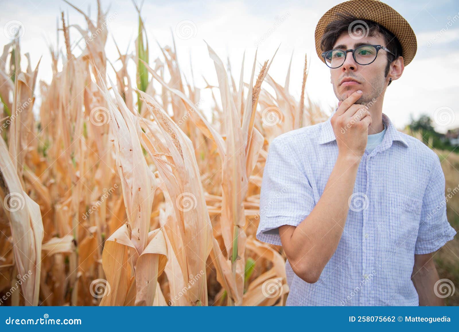 farmer pensive at the disastrous effects of drought on corn field all burned