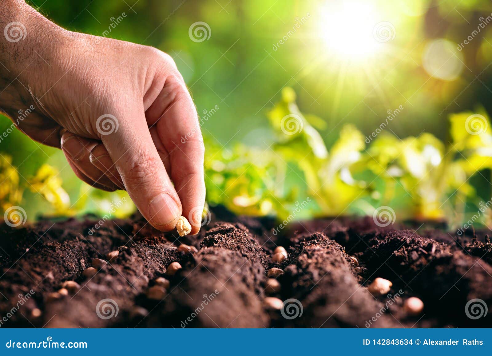 Farmer Planting Seeds farmer-planting-seeds