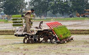 Farmer And Plough Machine Editorial Photo Image Of Tree 34615656