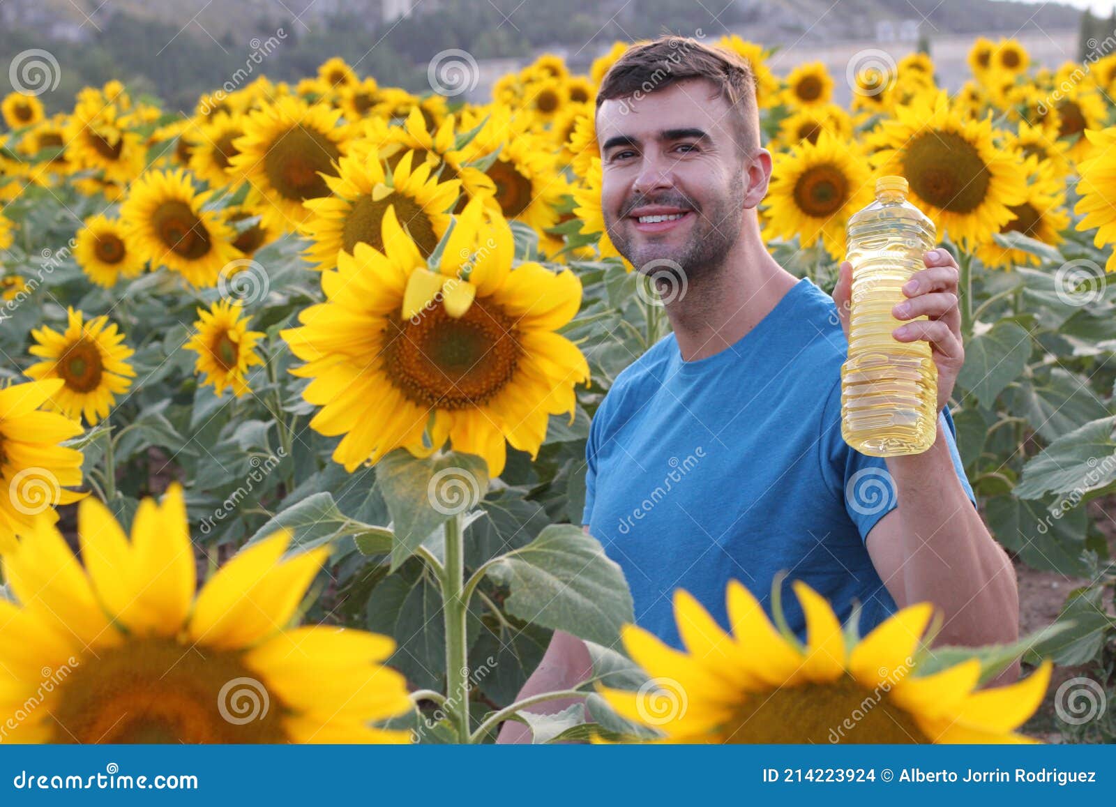 Farmer Producing Bio Sunflower Oil Stock Photo Image of lush, grow