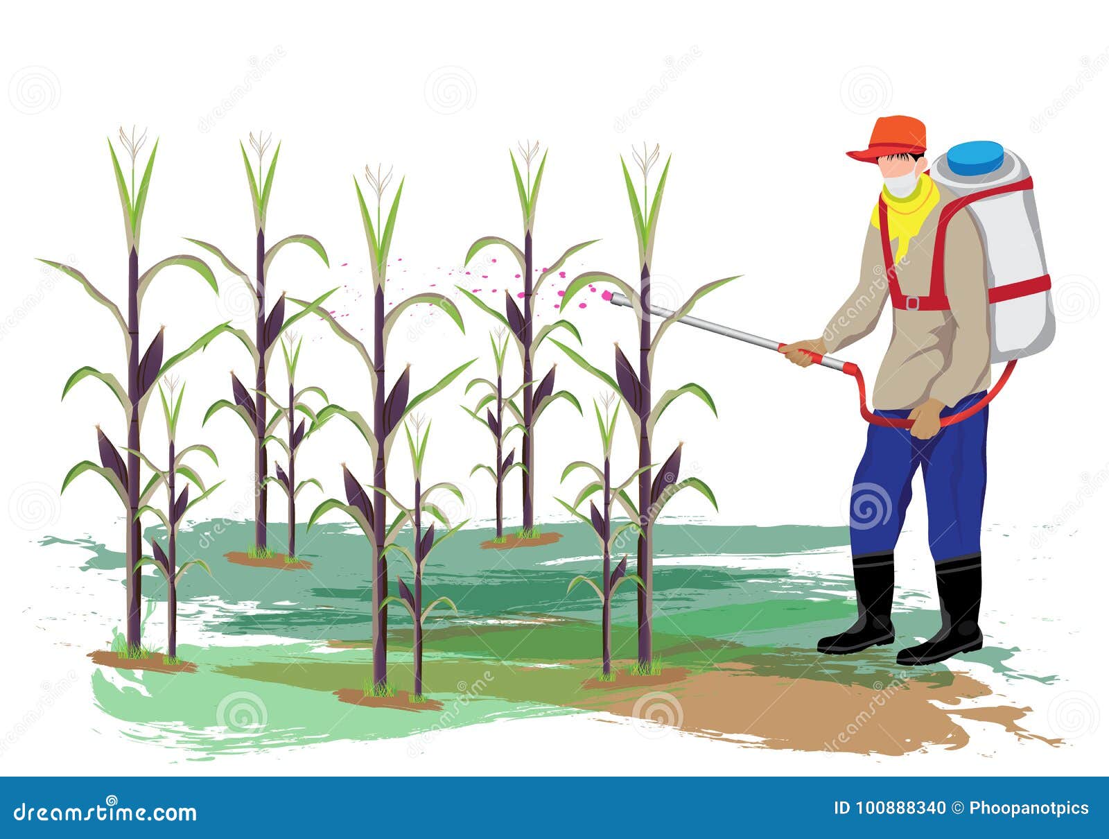 Farmer spray corn plant stock vector. Illustration of spray 100888340