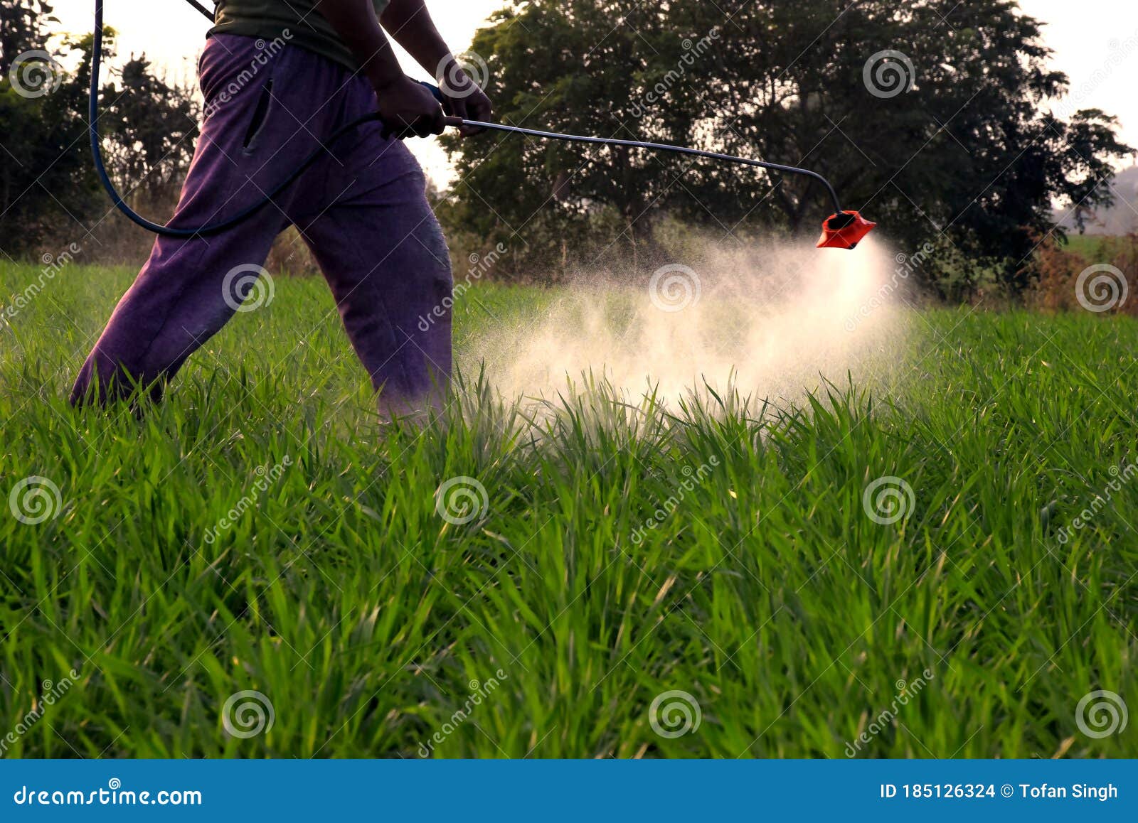 Spraying Weed Killer Herbicide To Control Unwanted Plants And Grass On