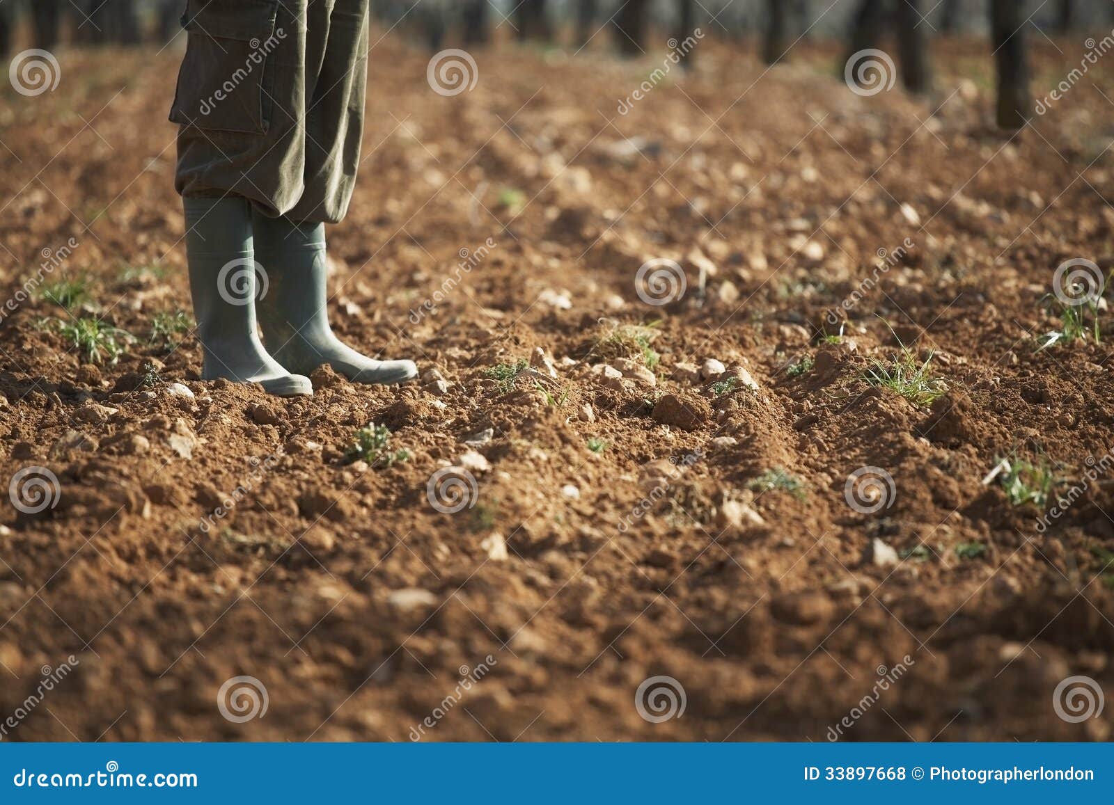 Farmer Standing on Fertile Soil in Farm Stock Photo Image of boot