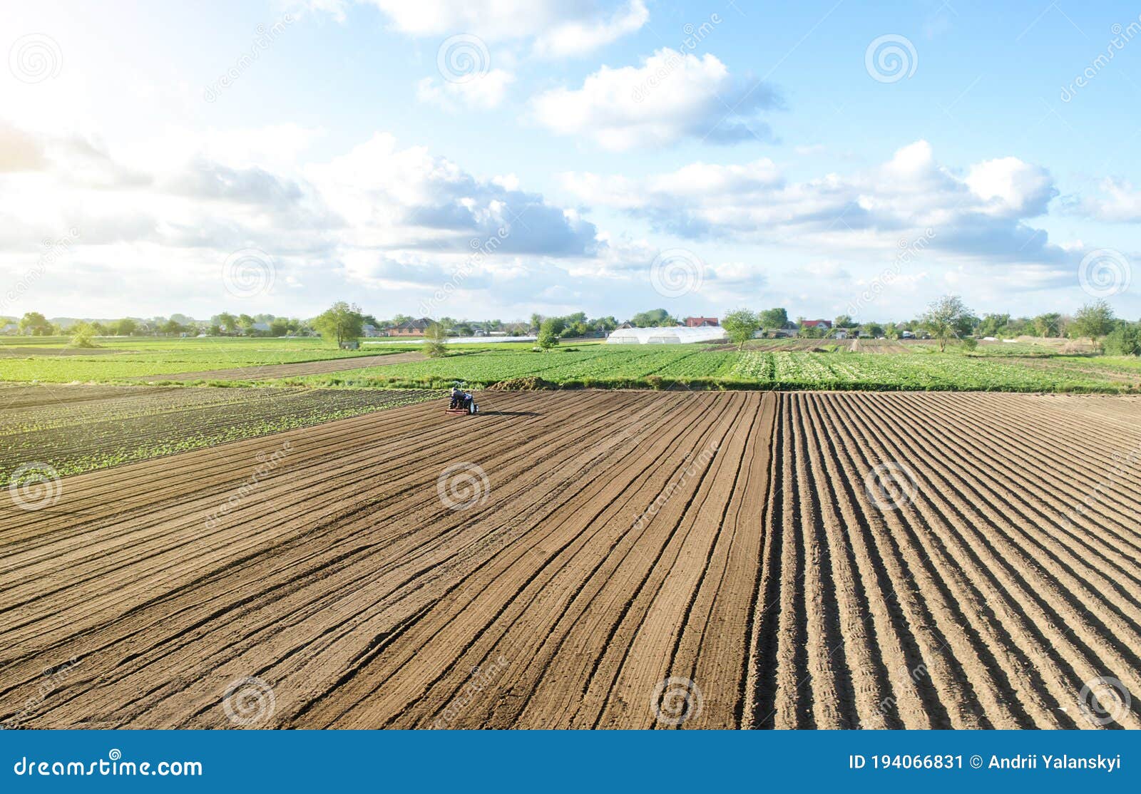 farmer on a tractor drives on a farm field. agriculture and agribusiness. growing vegetables. land market, lease of plots
