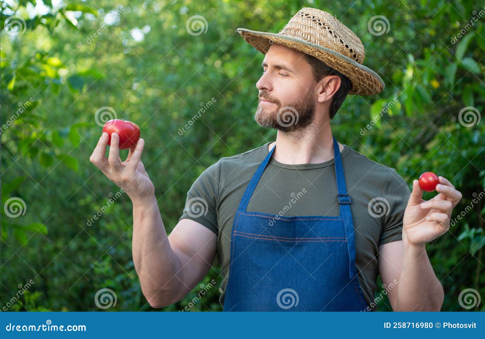Farmer Villager in Straw Hat with Tomato Vegetable Stock Photo Image
