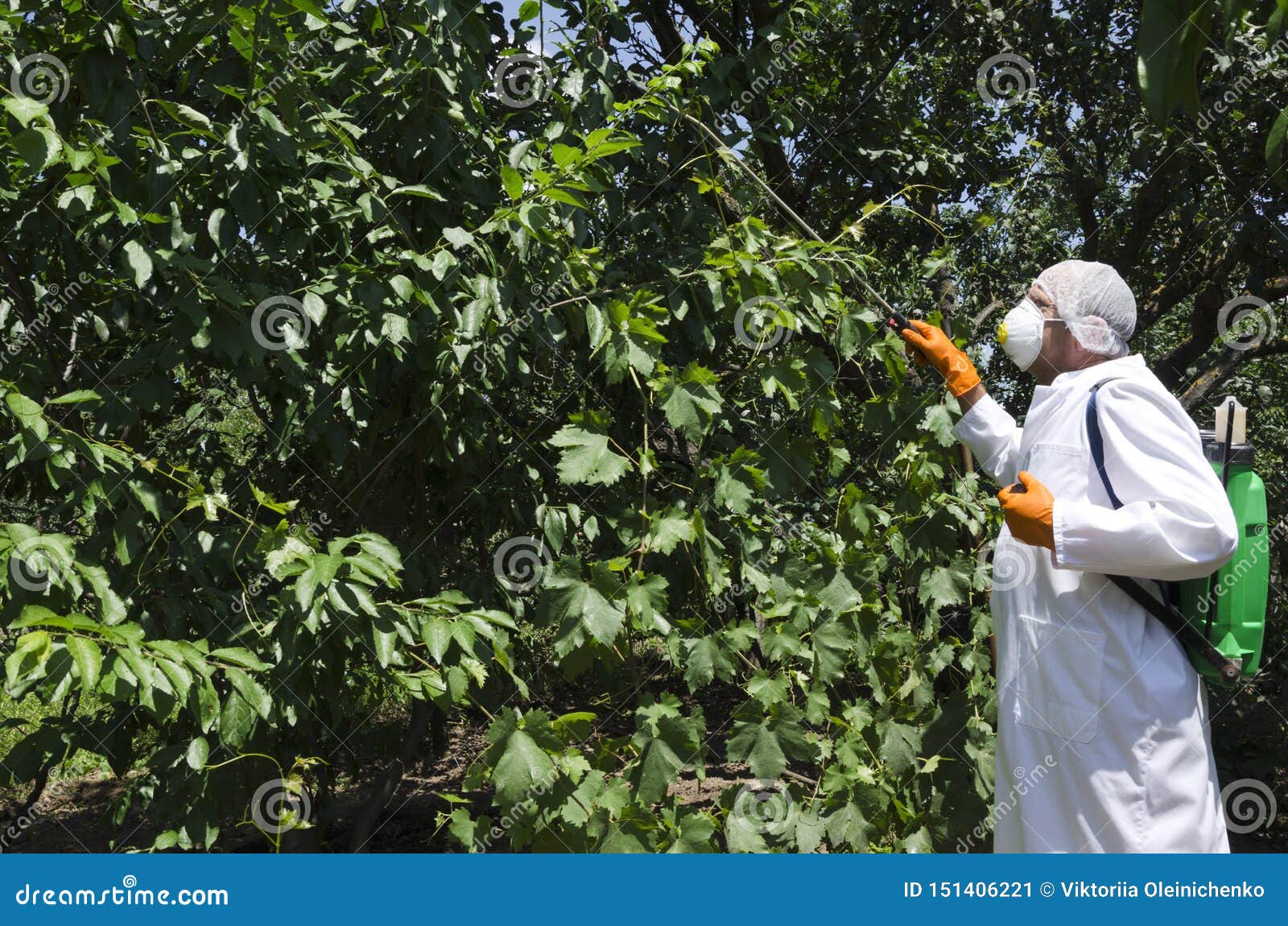 Pesticides pour arbres fruitiers