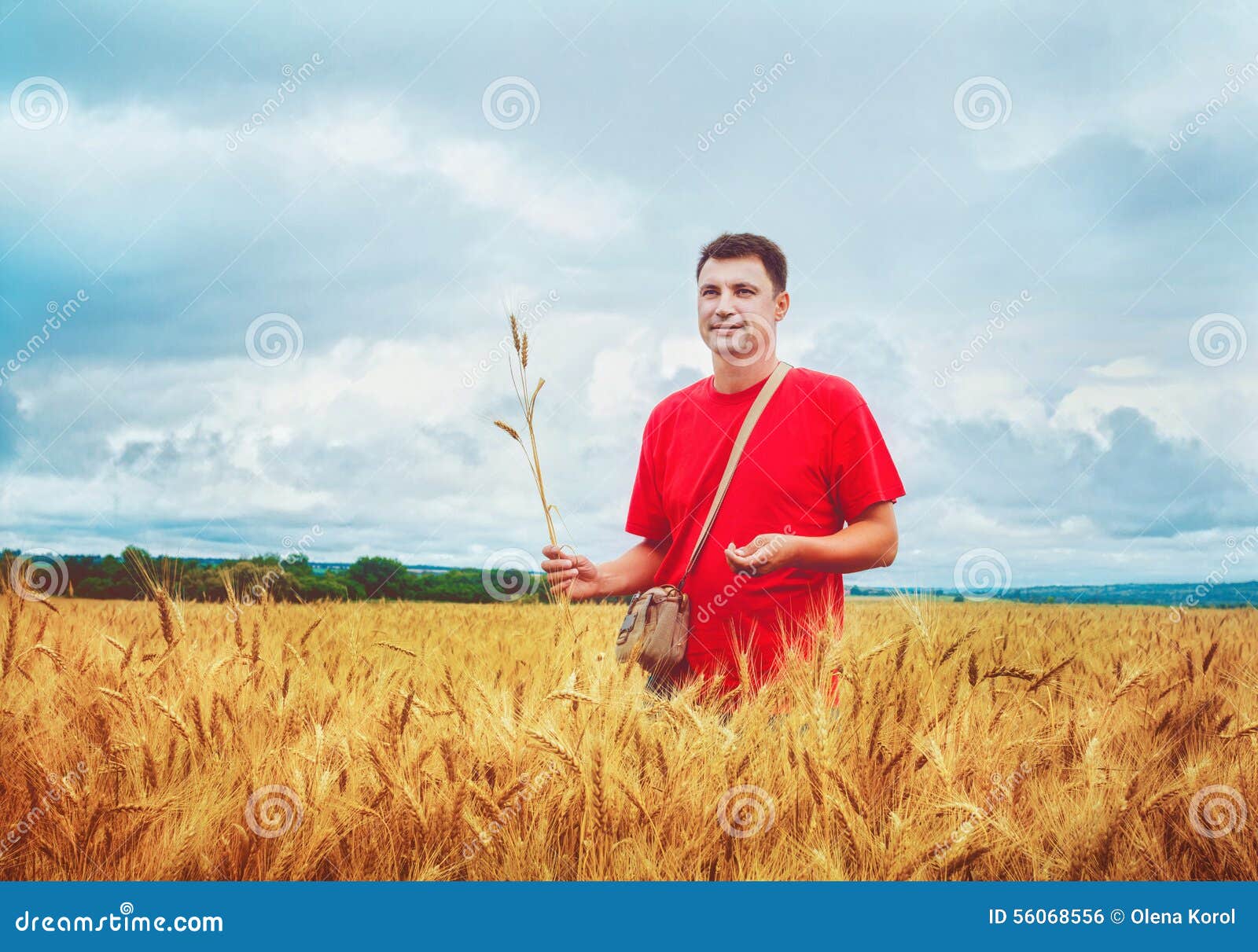 Farmer in a wheat field stock photo. Image of wheat, adult 56068556