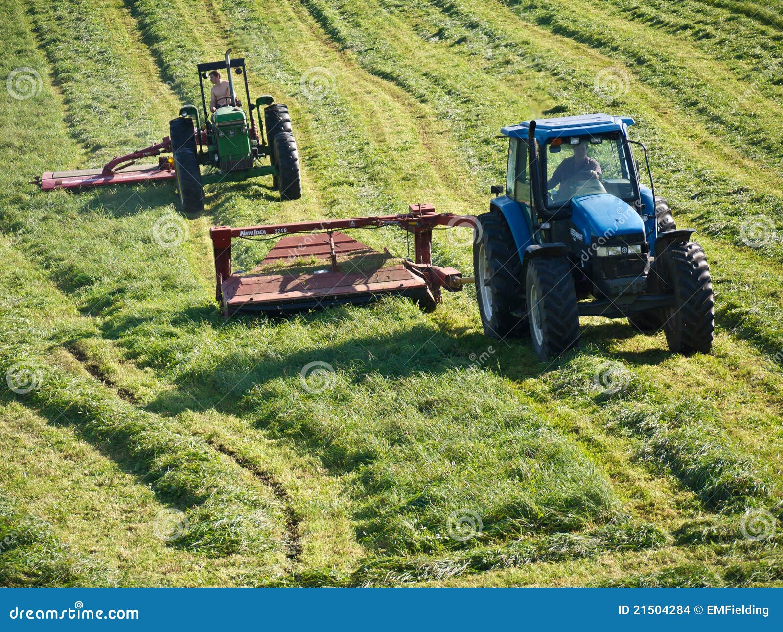 farmers cutting hay tractors 21504284