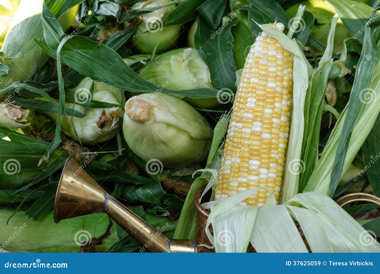 Farmers Market stock image. Image of food, home, display 37625059