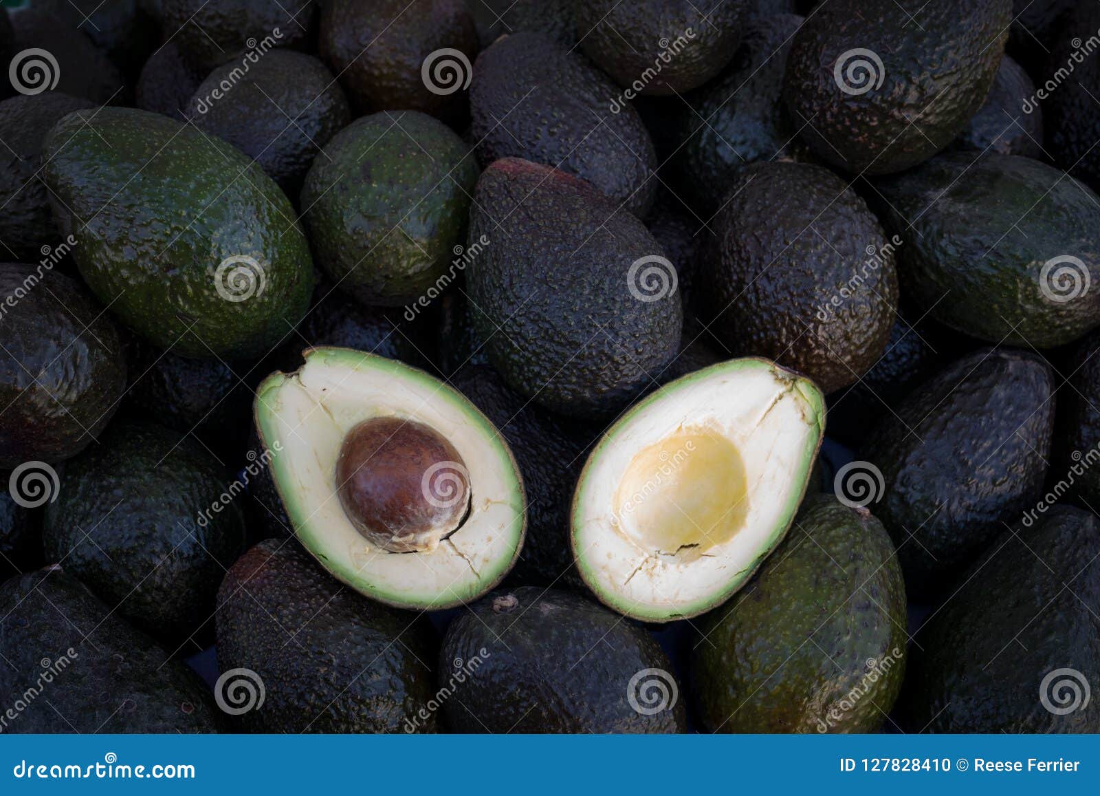 Farmers Market Avocados stock photo. Image of fruit - 127828410