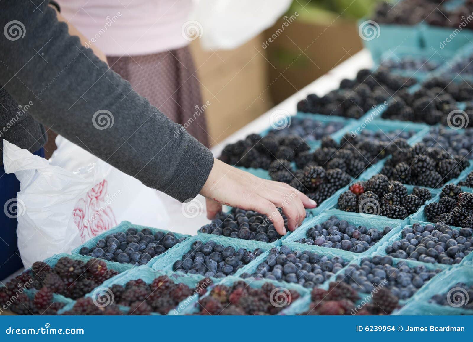 Farmers Market berries stock photo. Image of fruit, edible 6239954