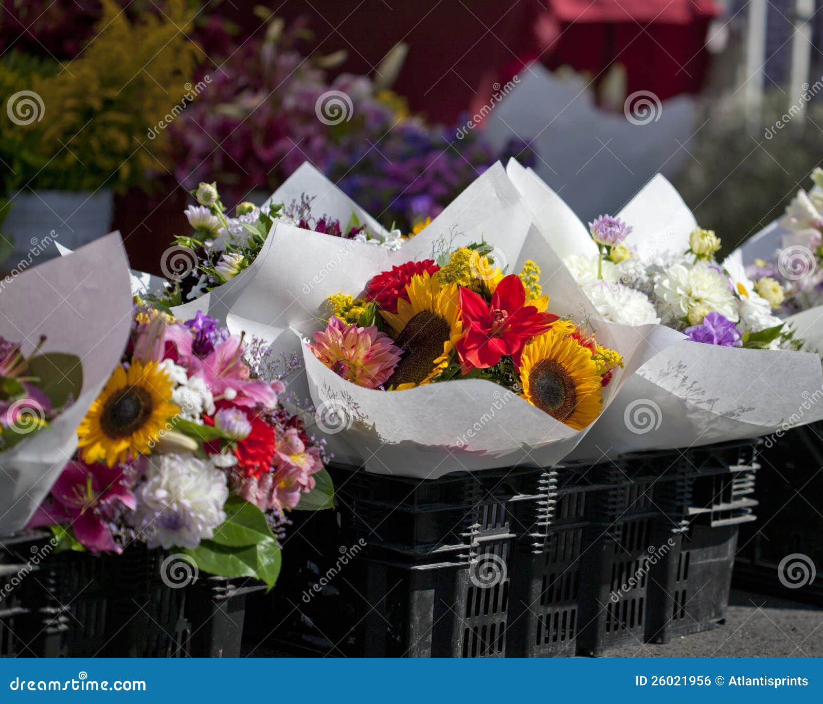 Farmers Market Flowers stock photo. Image of colorful 26021956