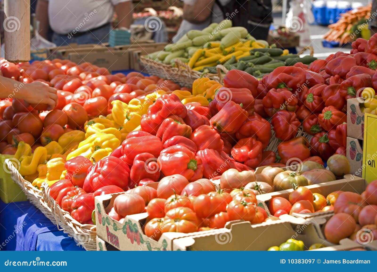 Farmers Market Fresh Peppers Stock Image Image of compare