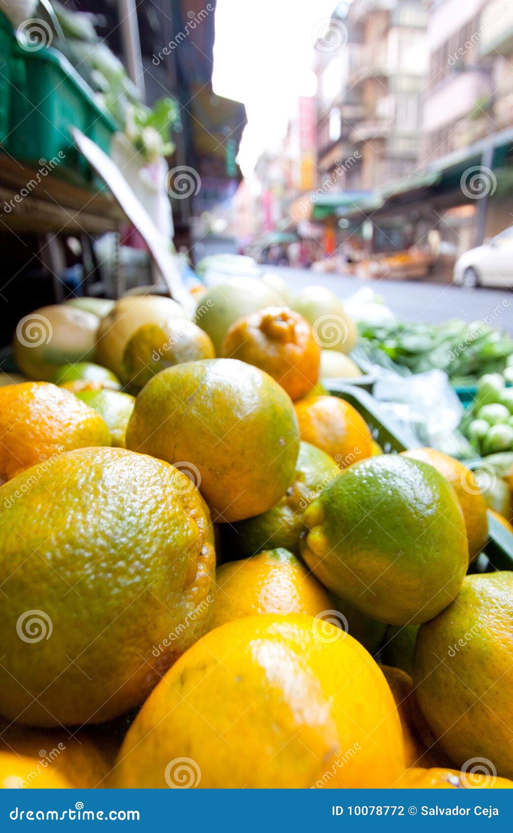 Farmers market Oranges stock photo. Image of lifestyle 10078772