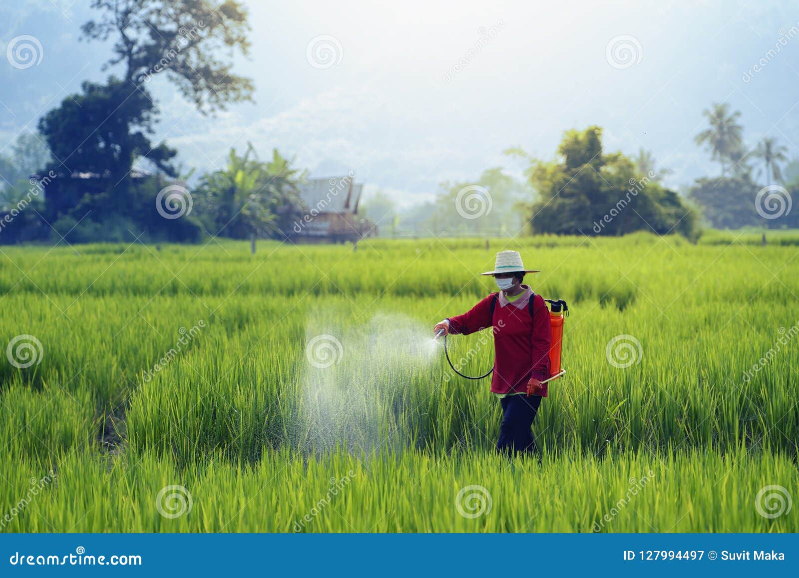 pesticides is harmful to health