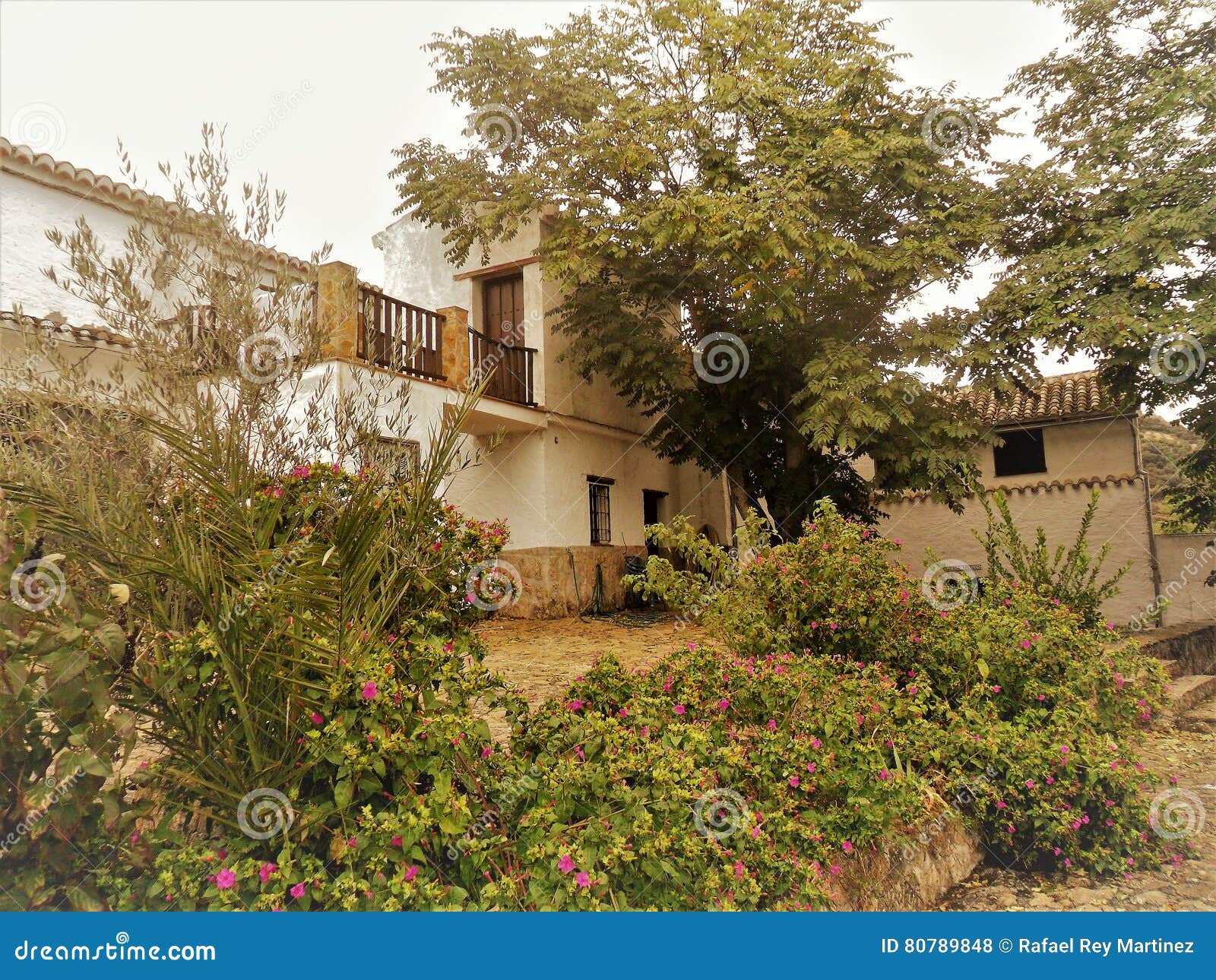 farmhouse molinillo-algarinejo-andalusia