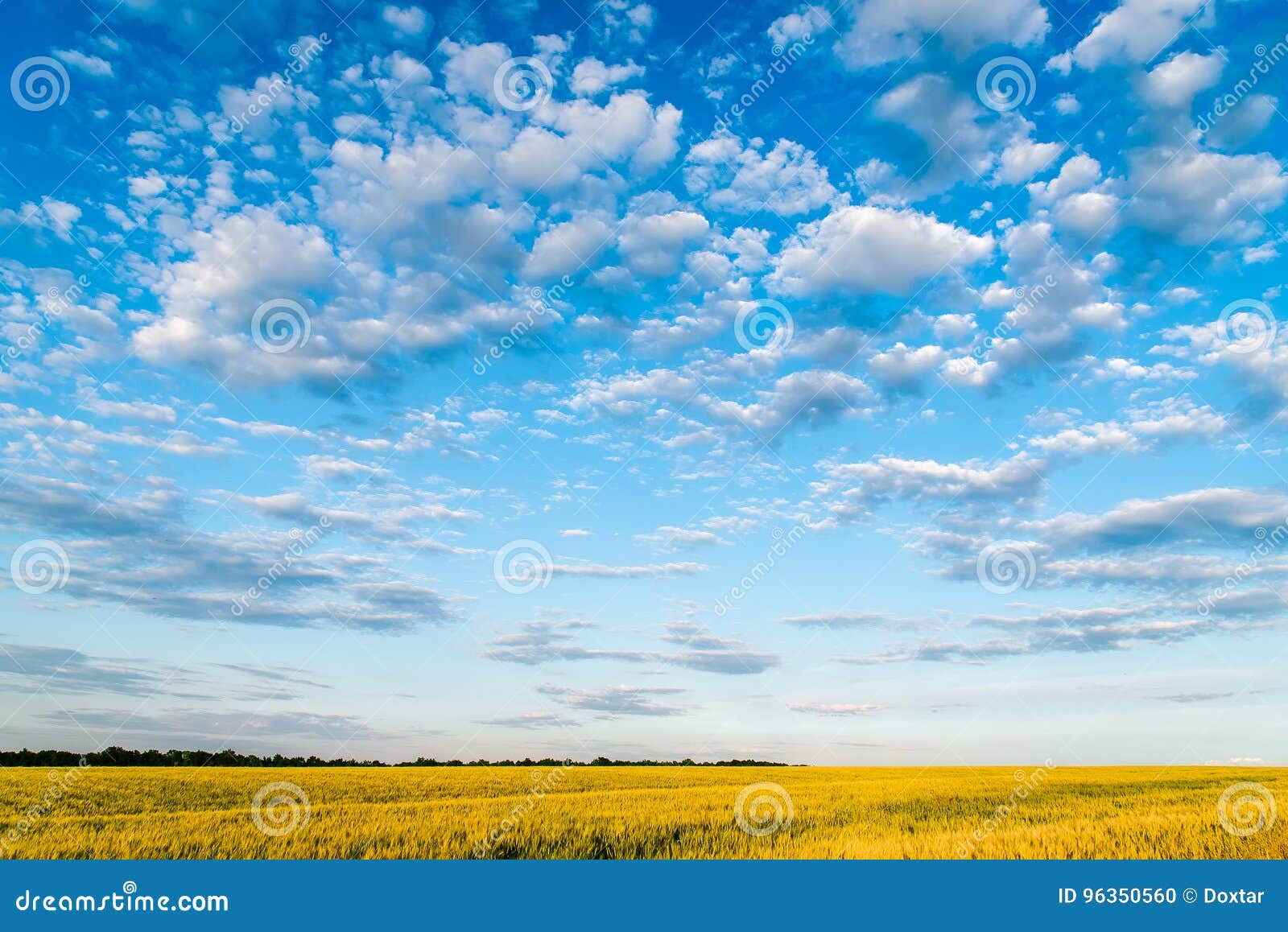 Farming Agriculture Season. Stock Photo - Image of blue, agriculture: 96350560