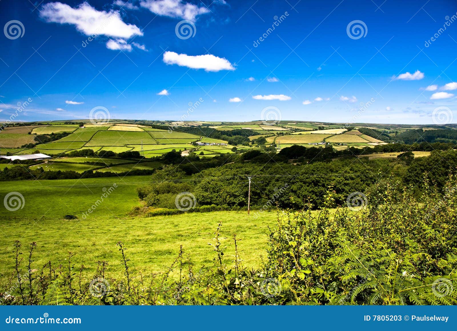 farming in devon