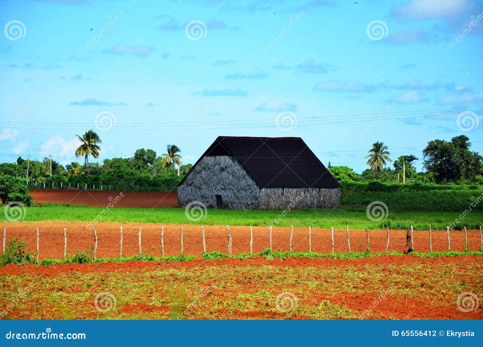 farming house in puerto esperanza, cuba