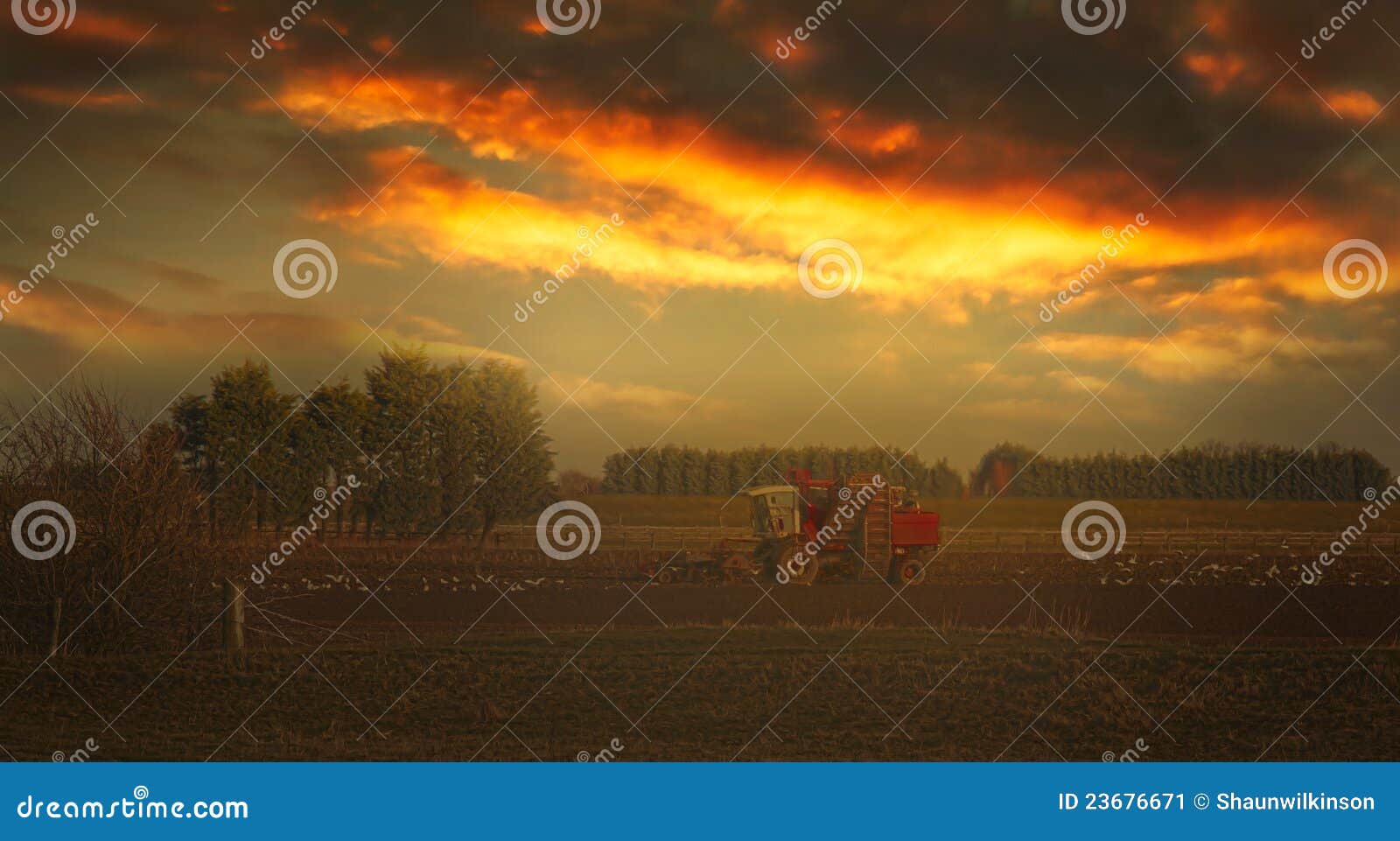 Farming at sunset stock image. Image of rural, landscape 23676671