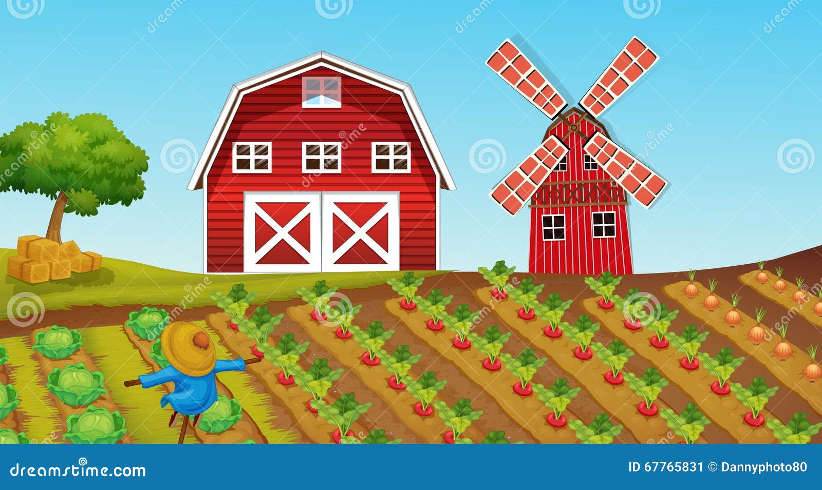 Farmland with Crops on the Farm Stock Vector - Illustration of
