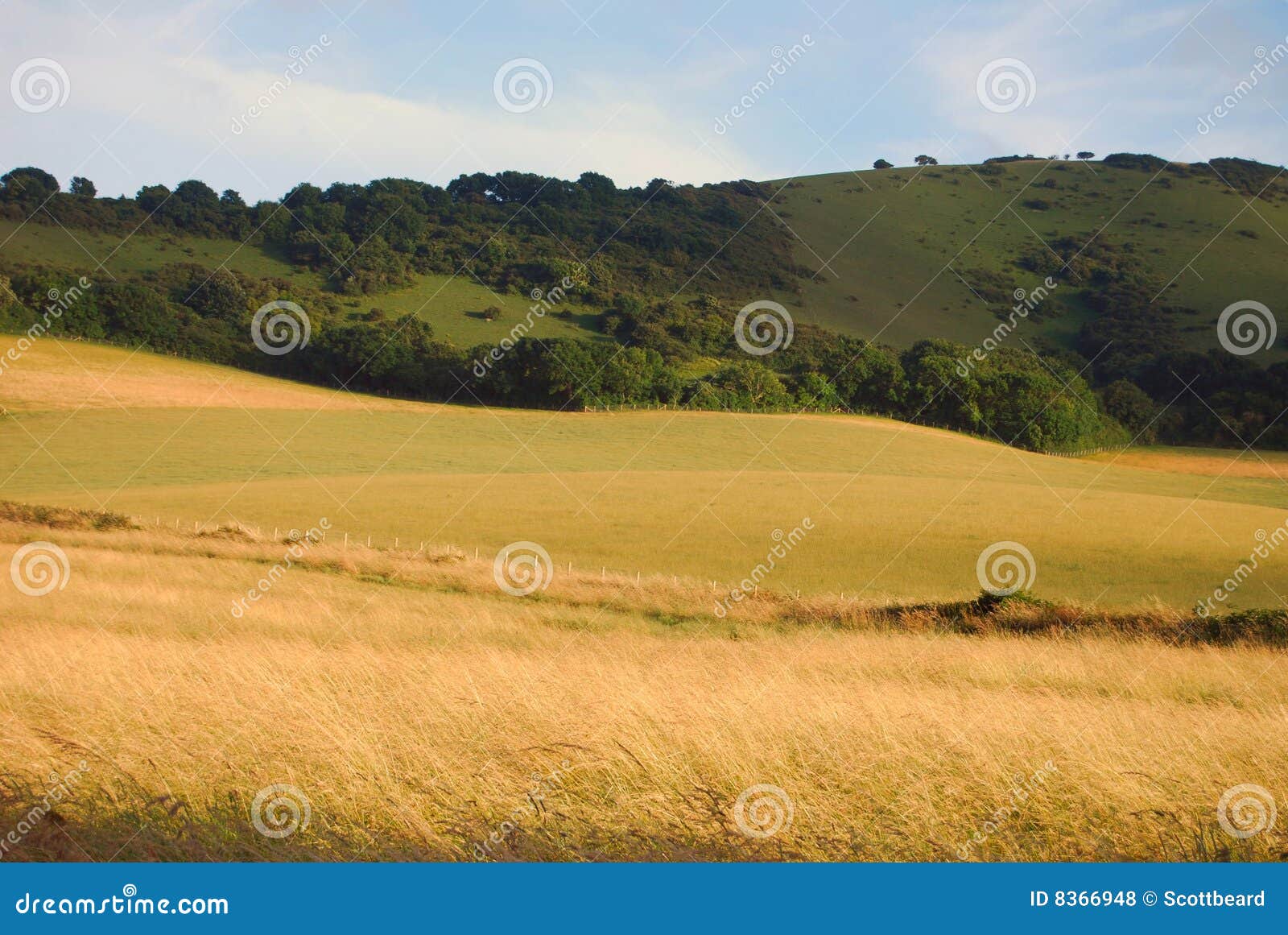 farmland in east sussex, england