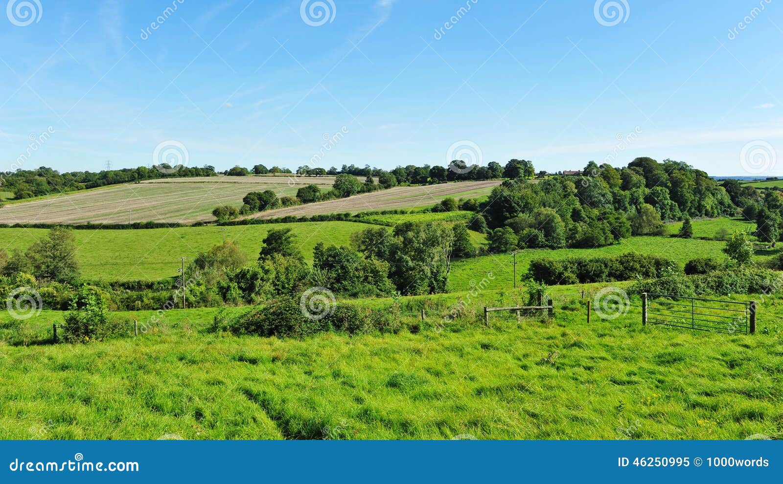 farmland fields