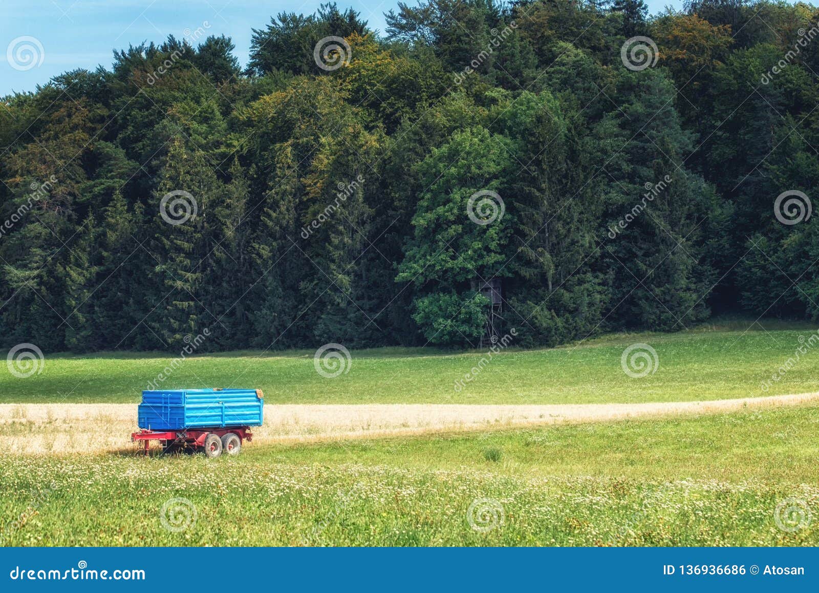 Farmland in Germany stock photo. Image of outdoors, meadow 136936686