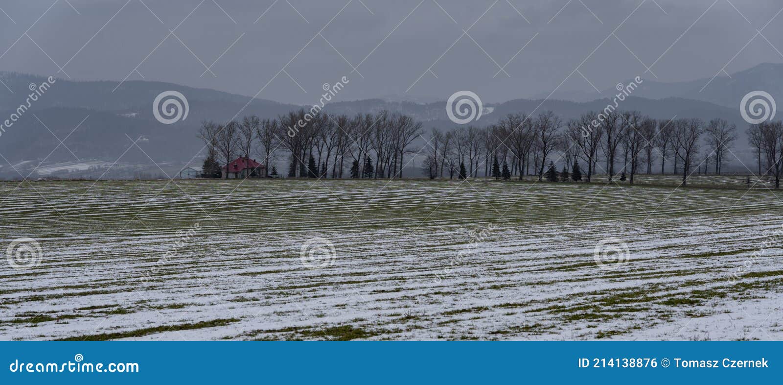 Farmland in Late Winter, Covered with Remnant Snow with Trees and