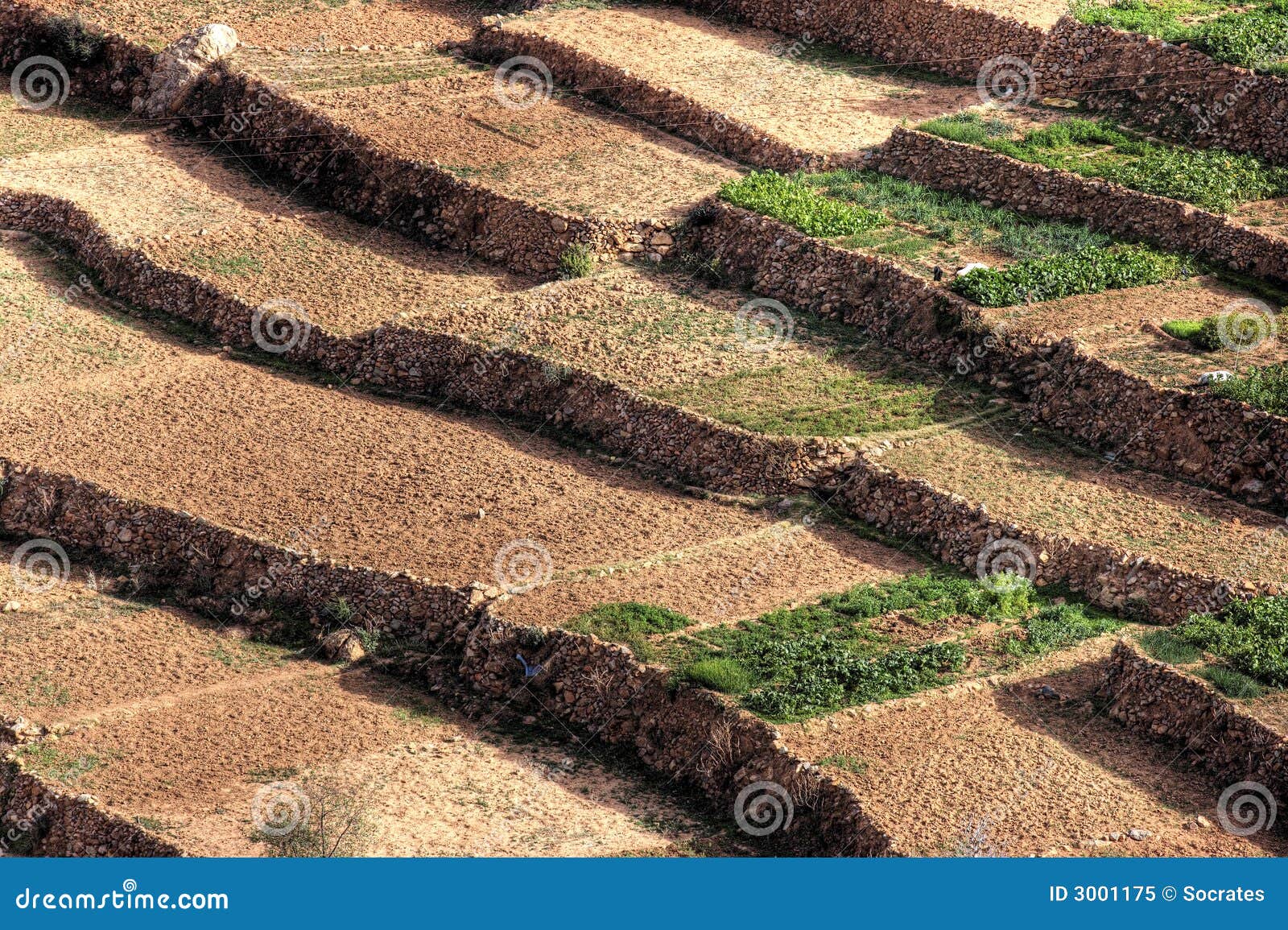 Farmland in Morocco stock image. Image of heat, erosion 3001175