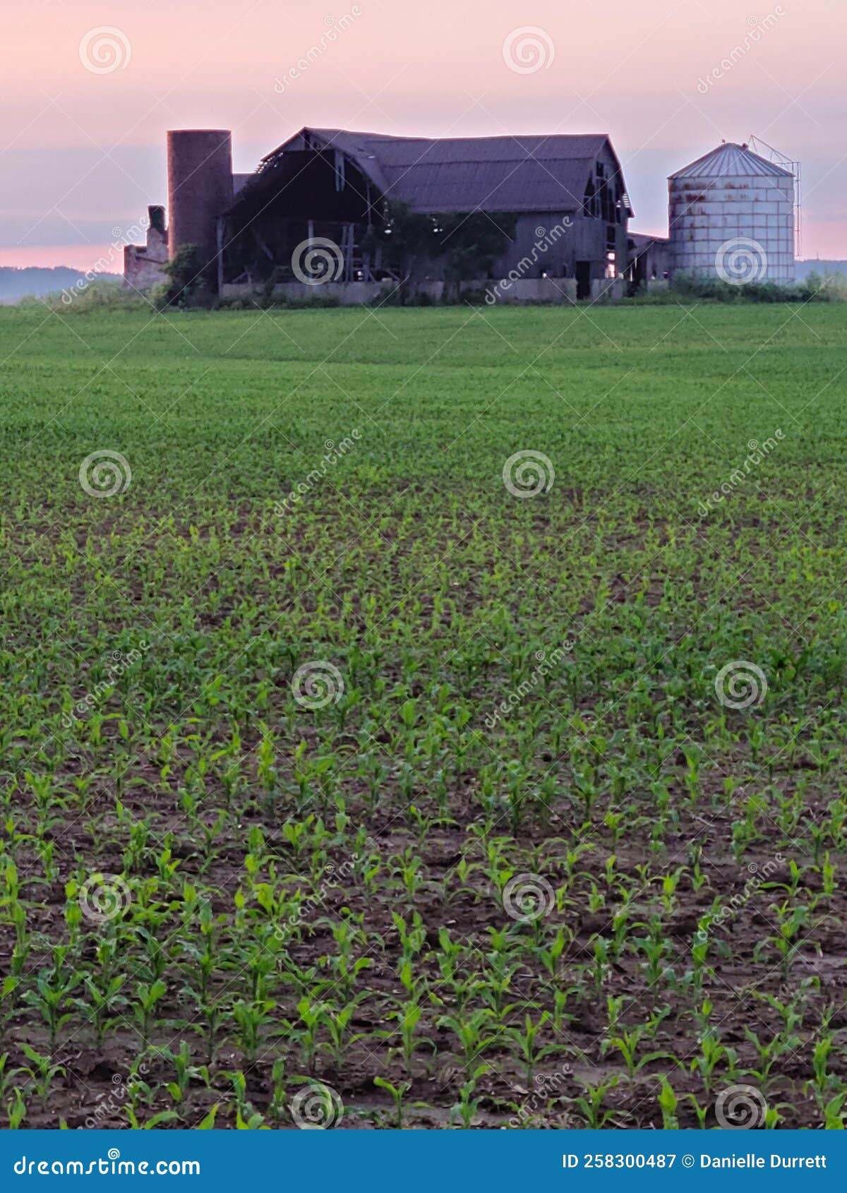 Farmland in Ohio stock image. Image of prairie, soil 258300487