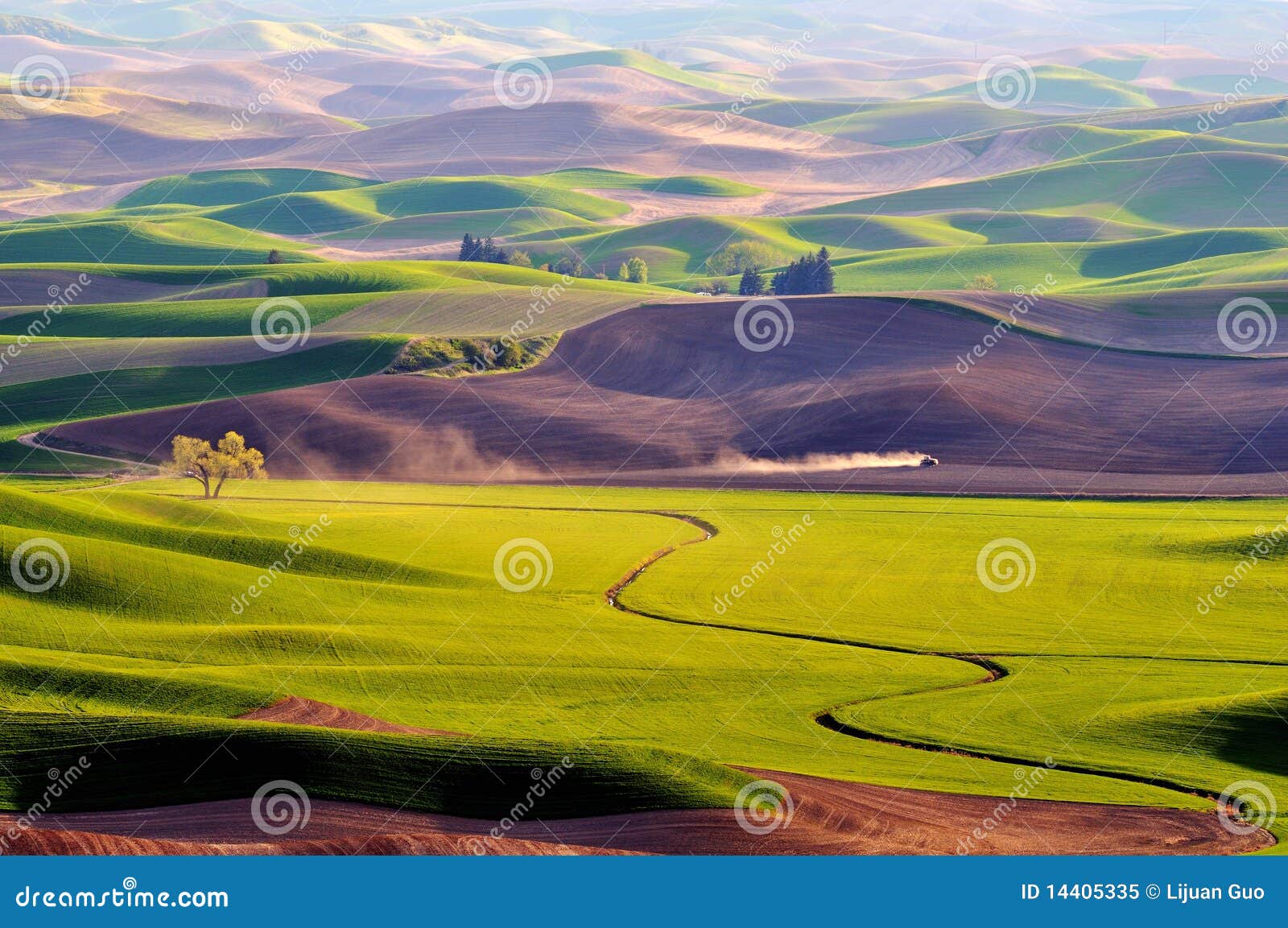 farmland in palouse washington