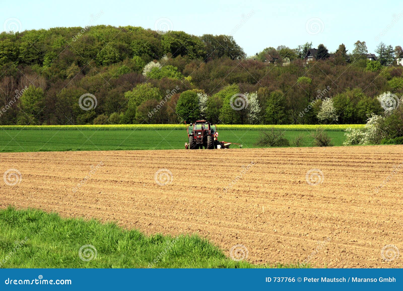 Farmland with Tractor in Germany Stock Photo Image of branches