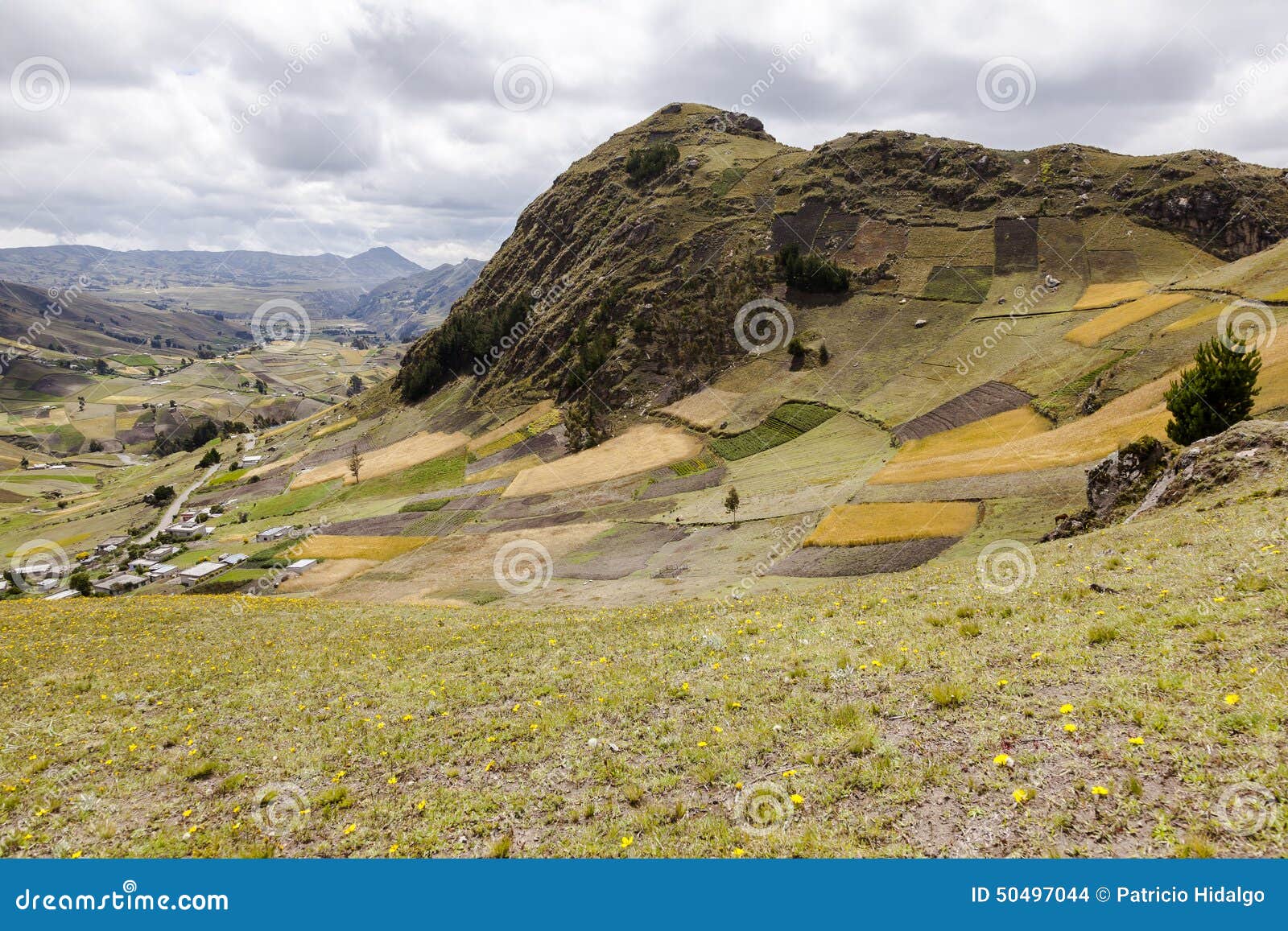 farms and crops on slopes near zumbahua