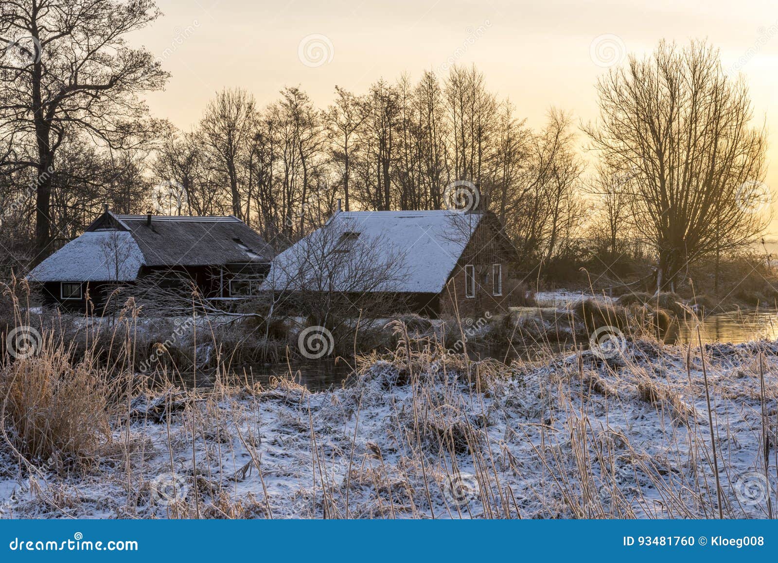 farms in wintertime in wieden-weerribben