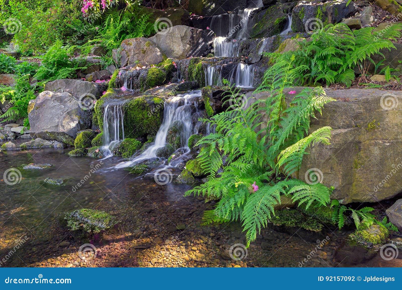 Farne Durch Wasserfall In Crystal Springs Rhododendron Garden