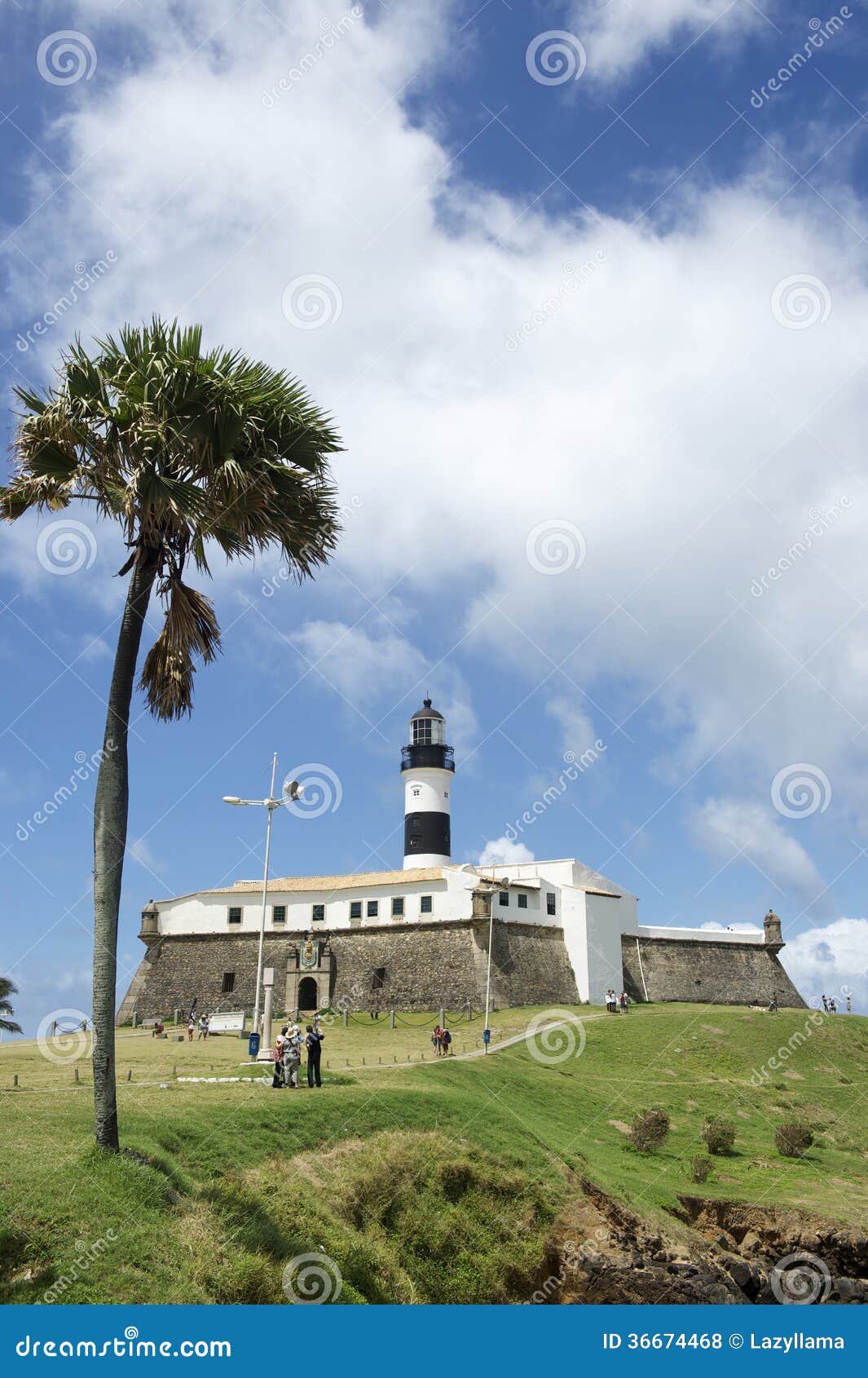 farol da barra salvador brazil lighthouse with palm tree