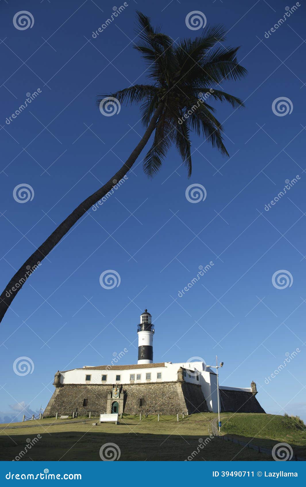 farol da barra salvador brazil lighthouse with palm tree
